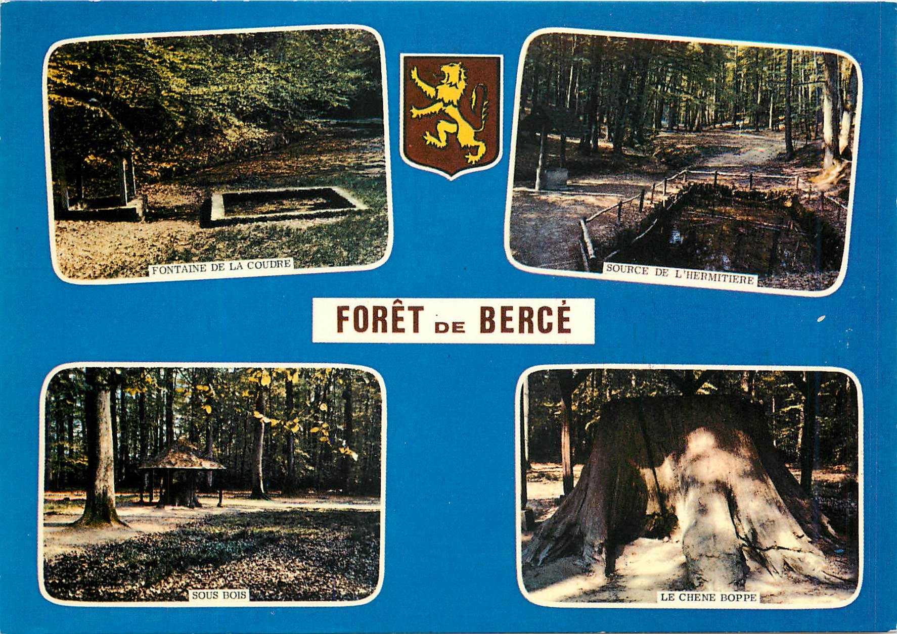 CPM Foret de Berge Fontaine de la Couvre Source de l'Hermitage Sous Bois Le Chene Doppe 