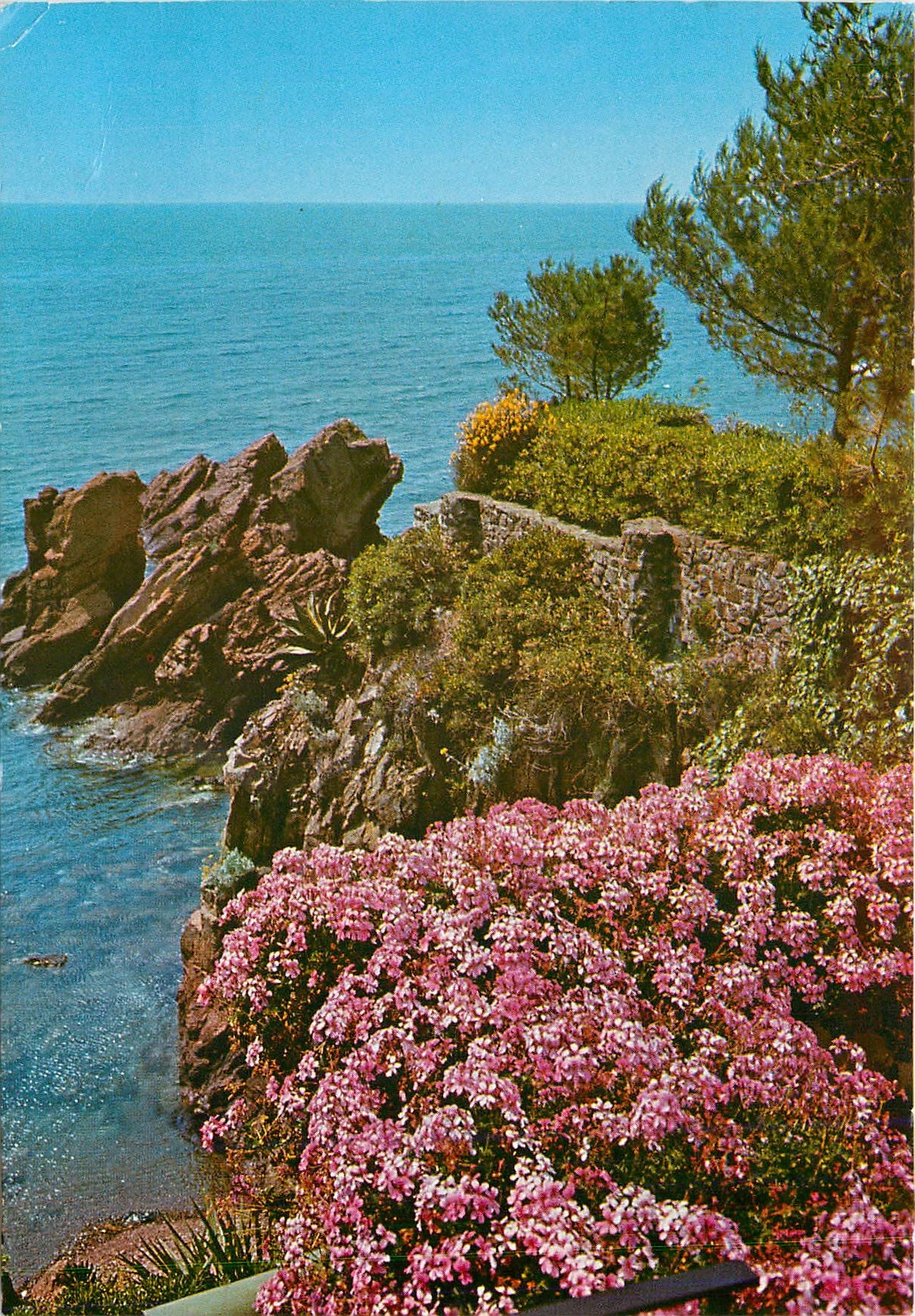 CPM Cote d'Azur French Riviera Bord de mer fleuri 
