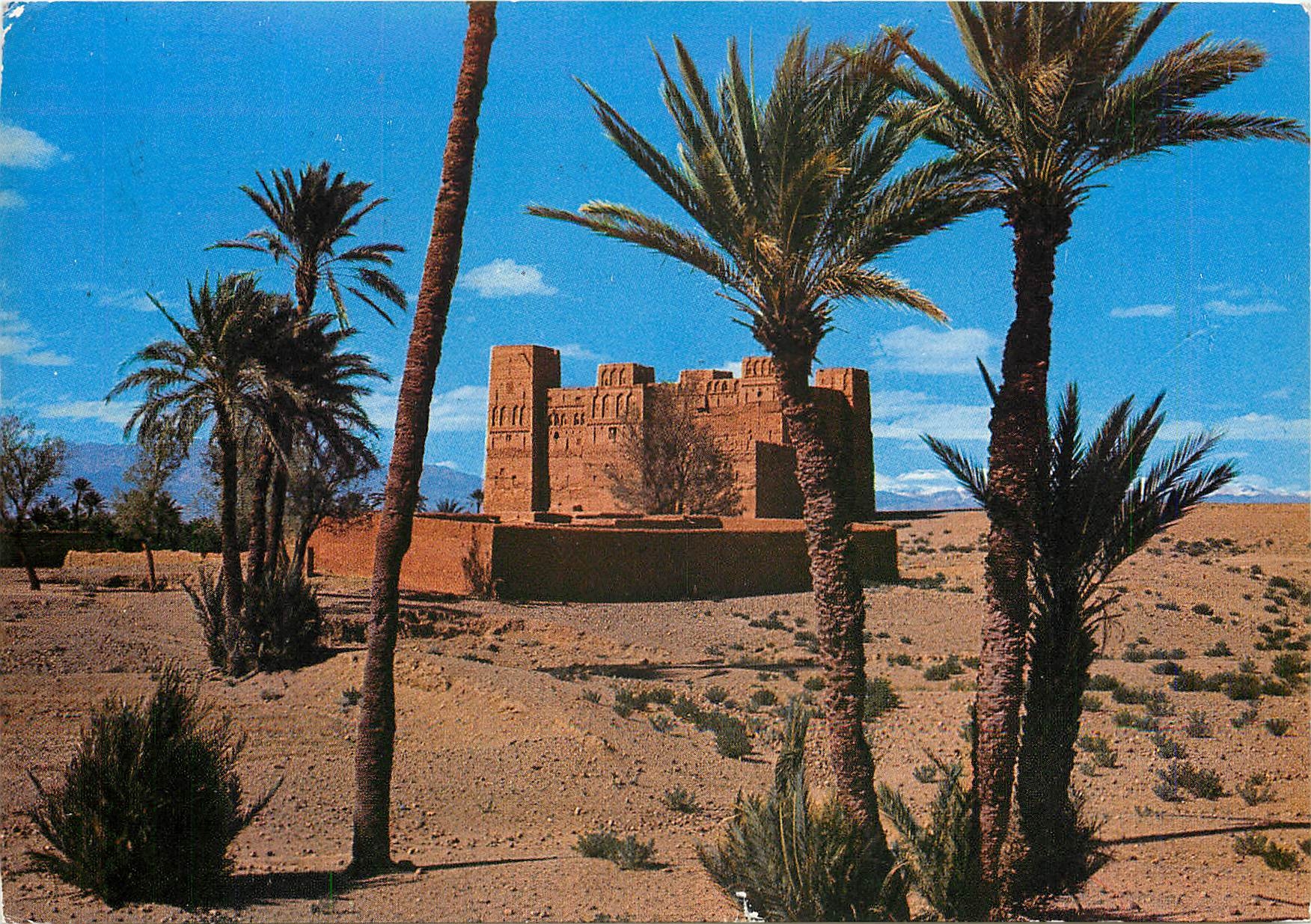 CPM Maroc Typique Casbah dans la Palmeraie 