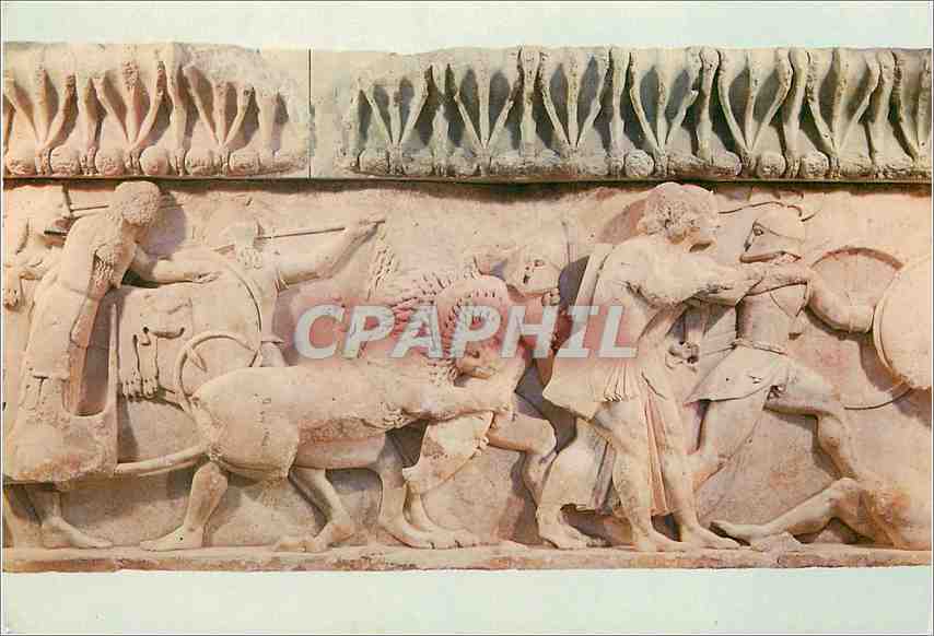 CPM Musee de Delphes Partie de la frise du Tresor de Siphnos 