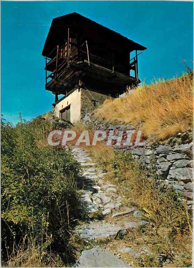 CPM Raccard valaisan Walliser Spicher Suisse 