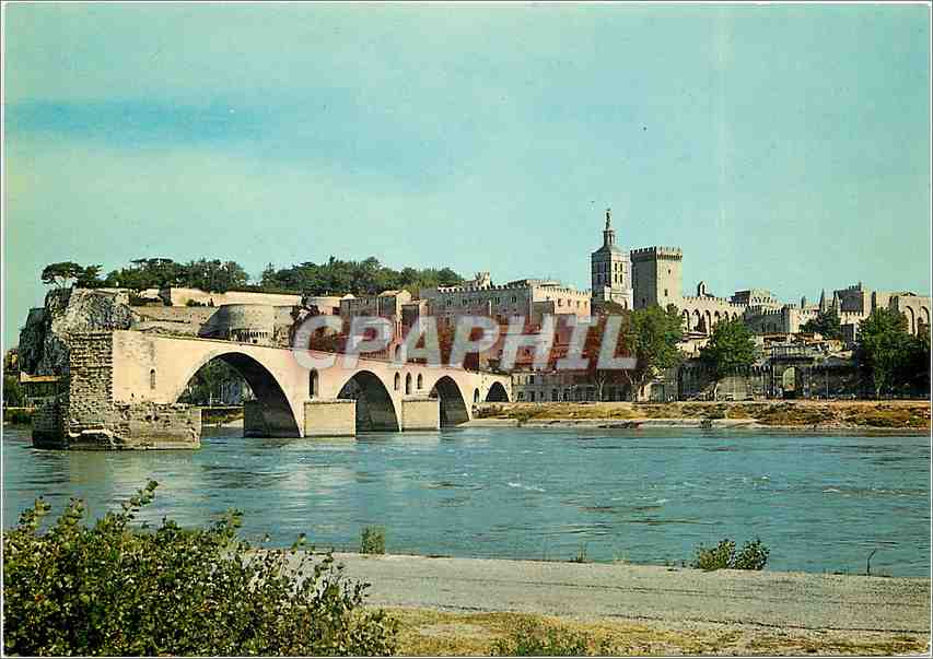 CPM Avignon Vaucluse Vue generale du Pont St Benezet et du Palais de Papes 