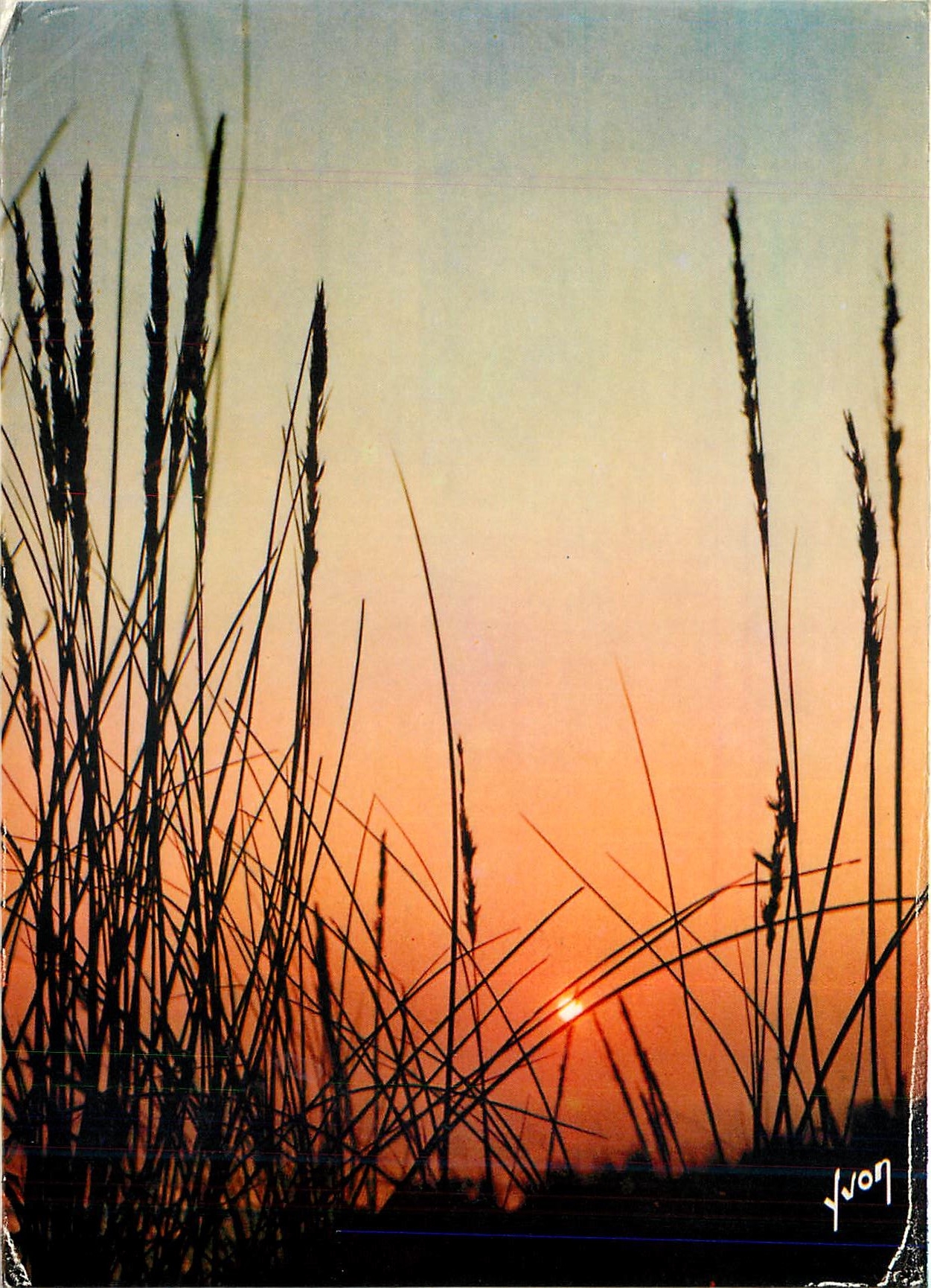 CPM Couleurs et Lumiere de France Coucher de Soleil 
