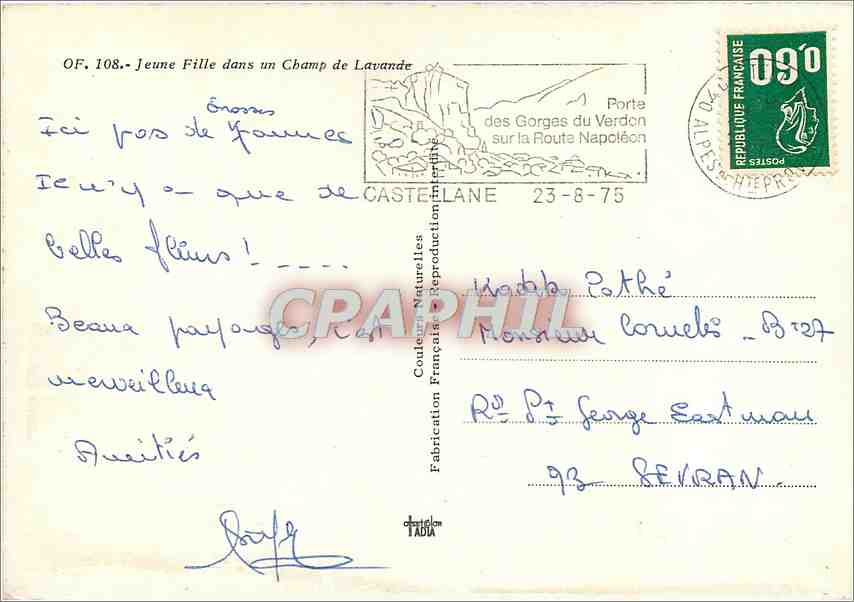 CPM Jeune Fille dans un Champ de Lavande  — Rückseite