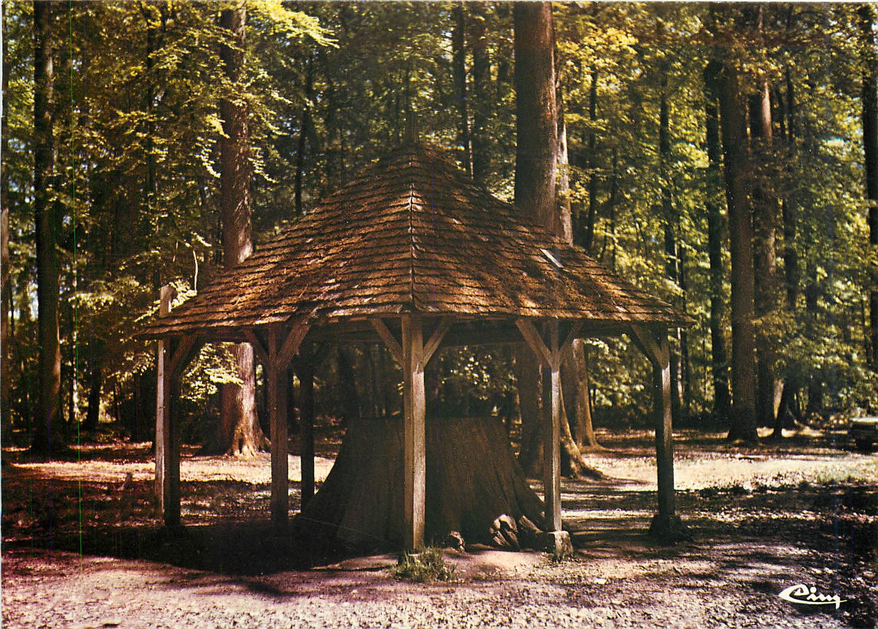 CPM Foret de Berche Sarthe L'ancien chene Boppe 