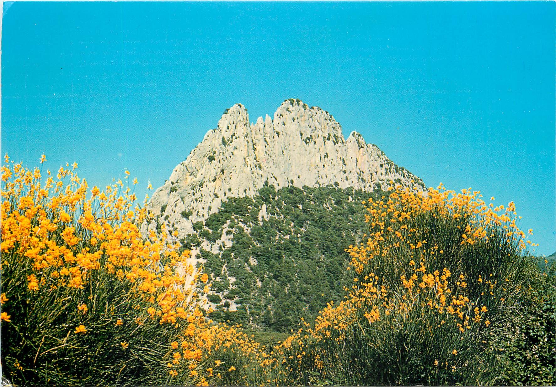 CPM Buis les Baronnies Rocher Saint Julien 