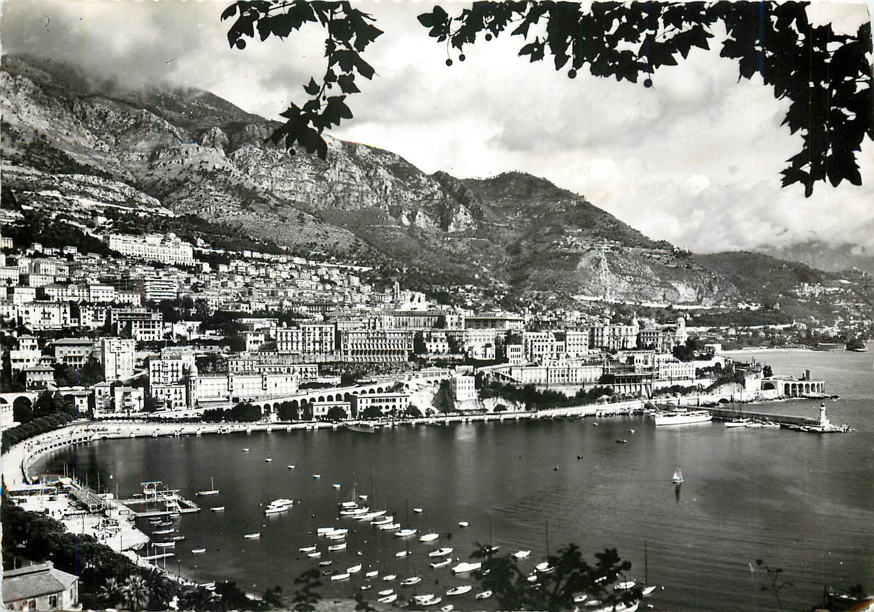 CPM Monte Carlo Vue generale et le Port 