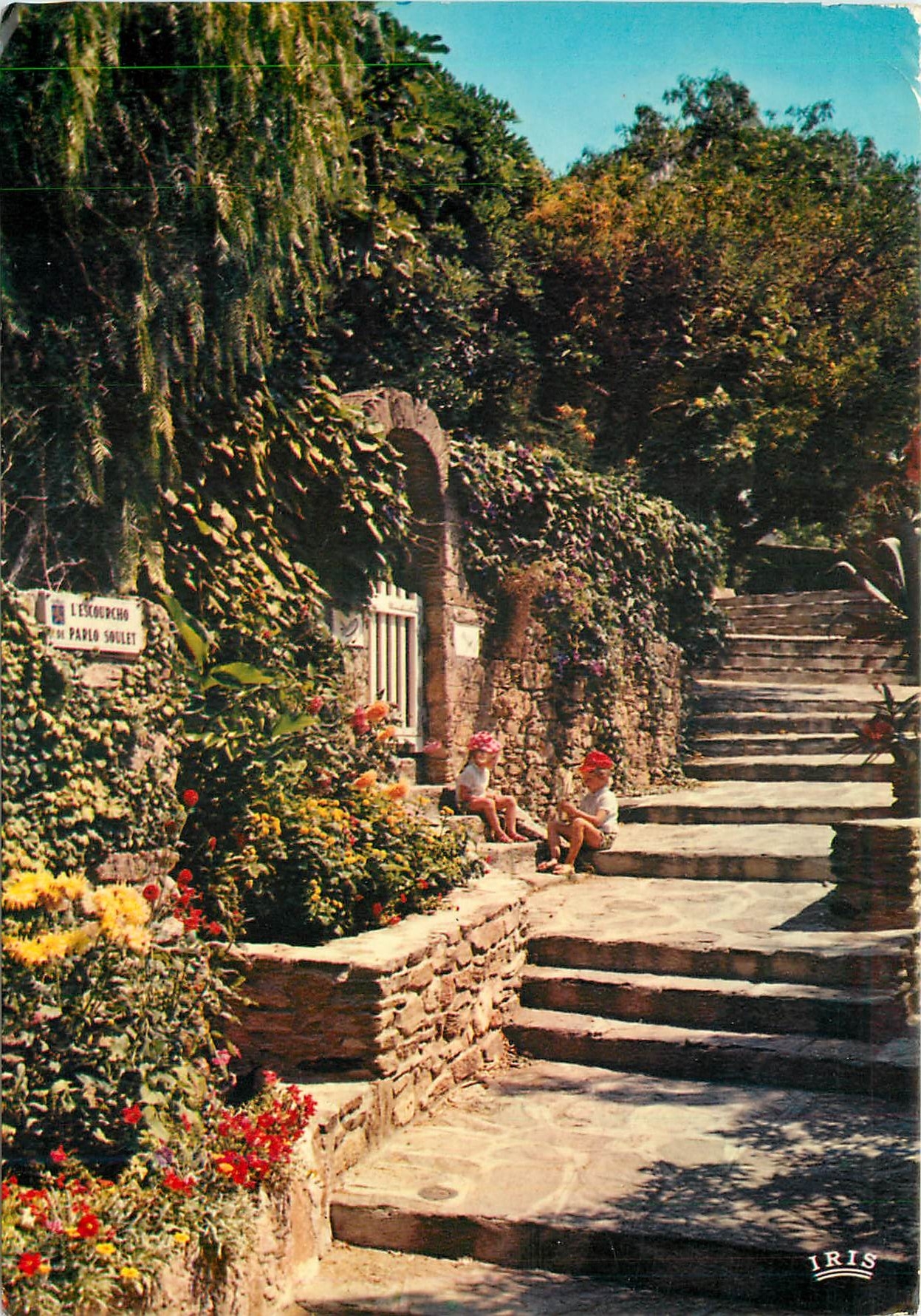 CPM La Cote d'Azur Bormes les Mimosas Une de ses vieilles rues fleuries 