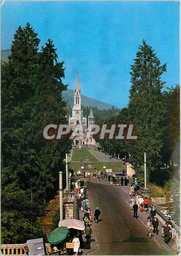 CPM Lourdes Hautes Pyrenees La Basilique 