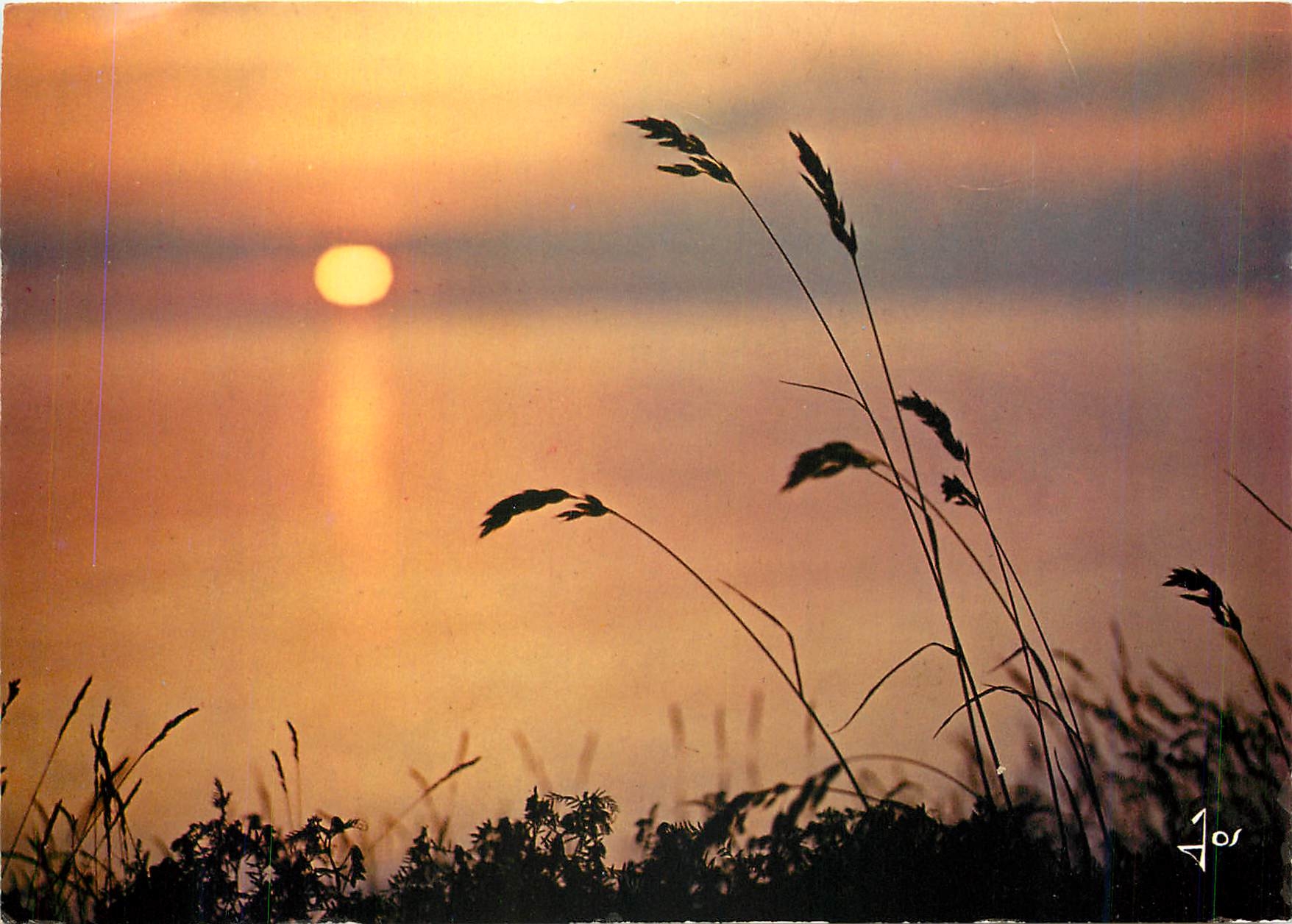 CPM La Bretagne Couleurs Dernier reflet sur la lande 