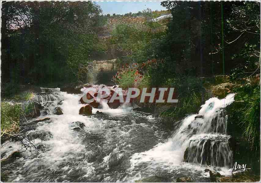 CPM Les Gorges Pittoresques du Verdon Source de Fontaine L'Eveque 