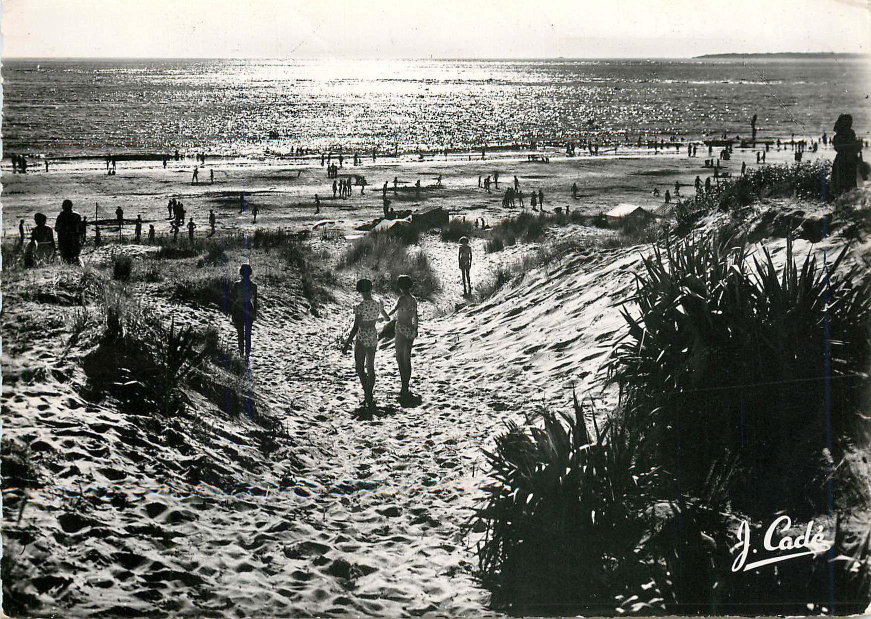 CPM St Brevin L Inf La Plage et ses dunes de sable au coucher du Soleil 