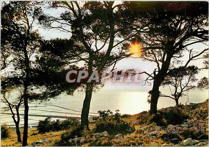 CPM Sete Herault Contre jour sur les Salins Vue du Mont Saint Clair 