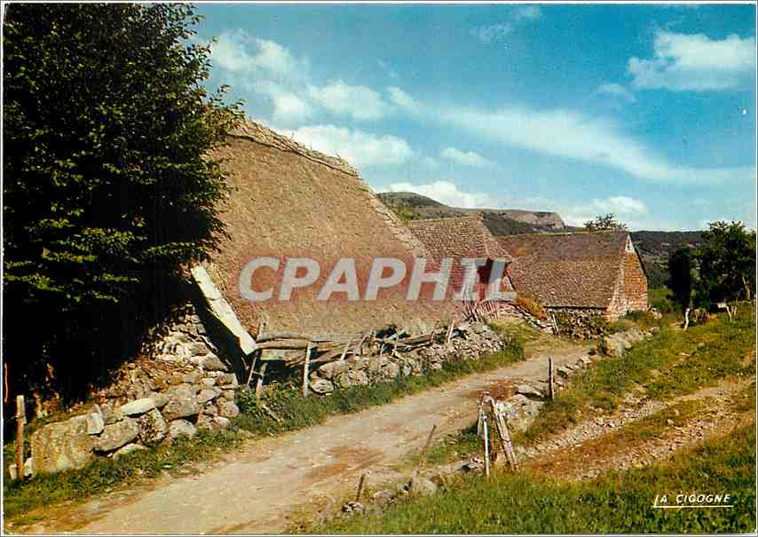 CPM Auvergne Maison d'Autrefois Buron au toit de chaume 