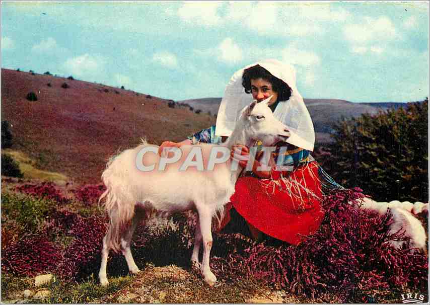 CPM Le Limoursin Touristique Les Monedieres Chevre Folklore