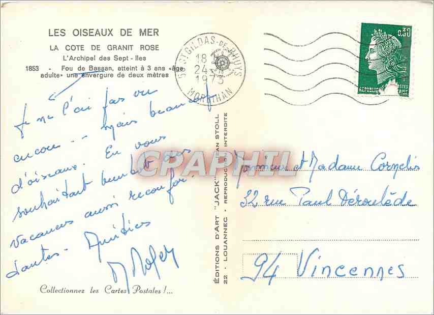 CPM Fou de Bassab des sept iles  — Rückseite