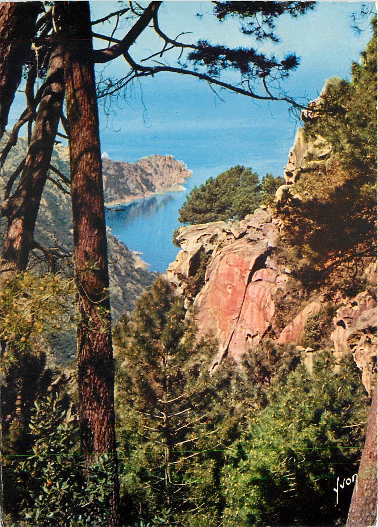 CPM La Corse oasis de Beaute Les Calanches Ravin encadre de magnifiques roches rouges 