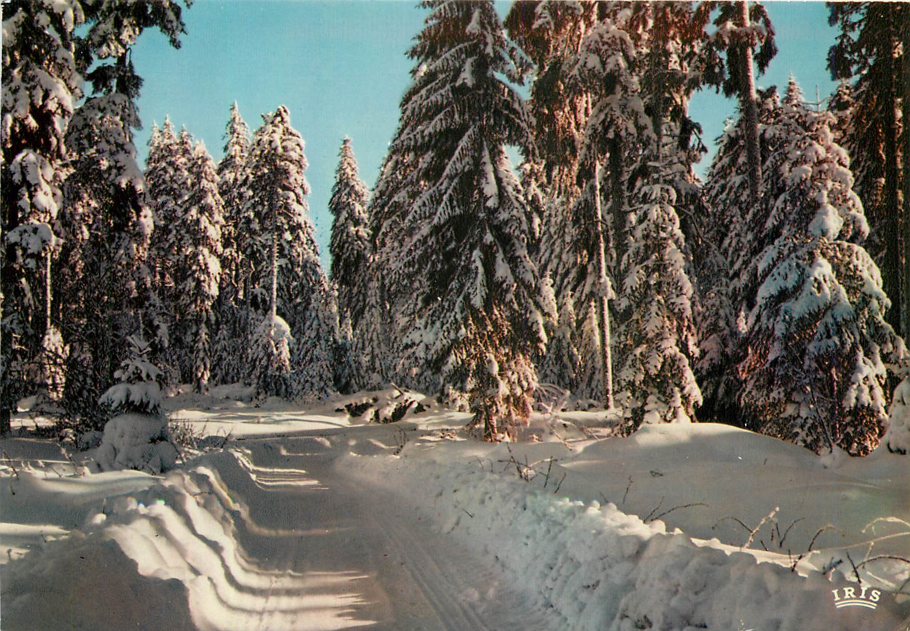 CPM Les Vosges Sous La Neige Route de Montagne 