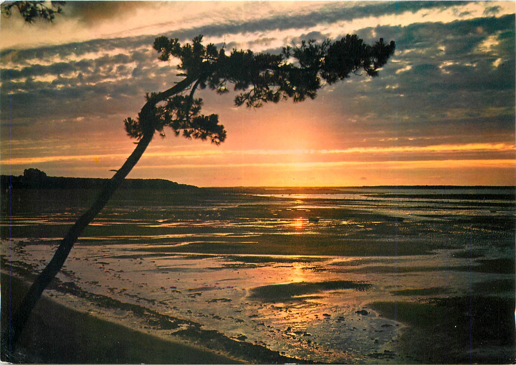 CPM Quoi de plus agreable que de rever le soir 