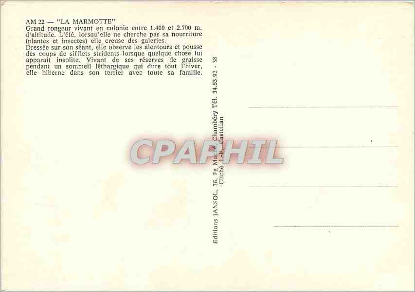 CPM La Marmotte Grand rongeur vivant en colonie  — Rückseite