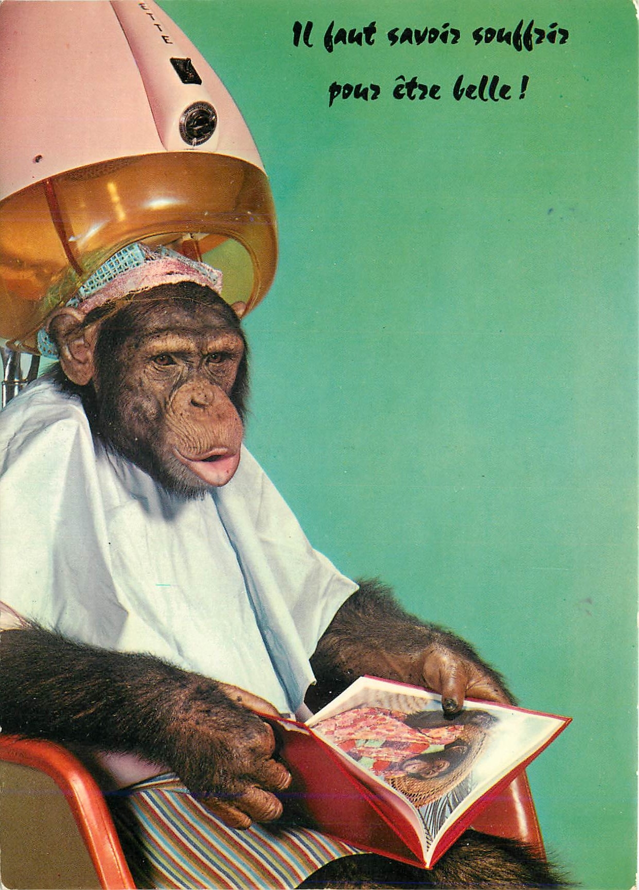 CPM Il faut savoir souffrer pour etre belle Singe 