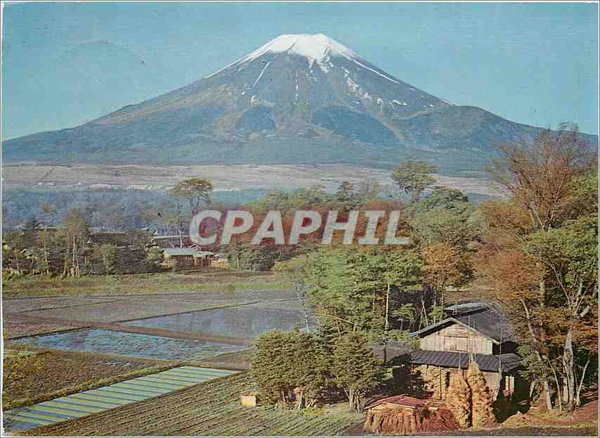 CPM Mt Fuji nid Spring 
