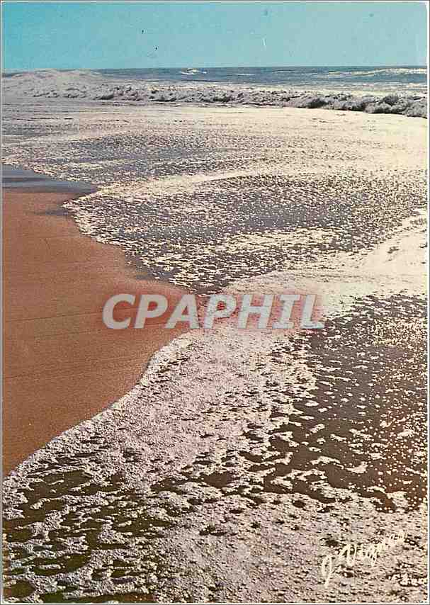 CPM Visages des Landes Quand la vaque meurt sur la Cote Landaise 
