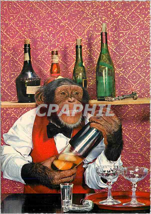 CPM Singe