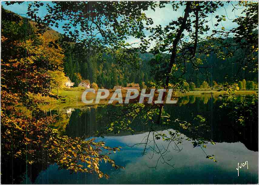CPM Les Hautes Vosges Lac de Retournemer Vosges 