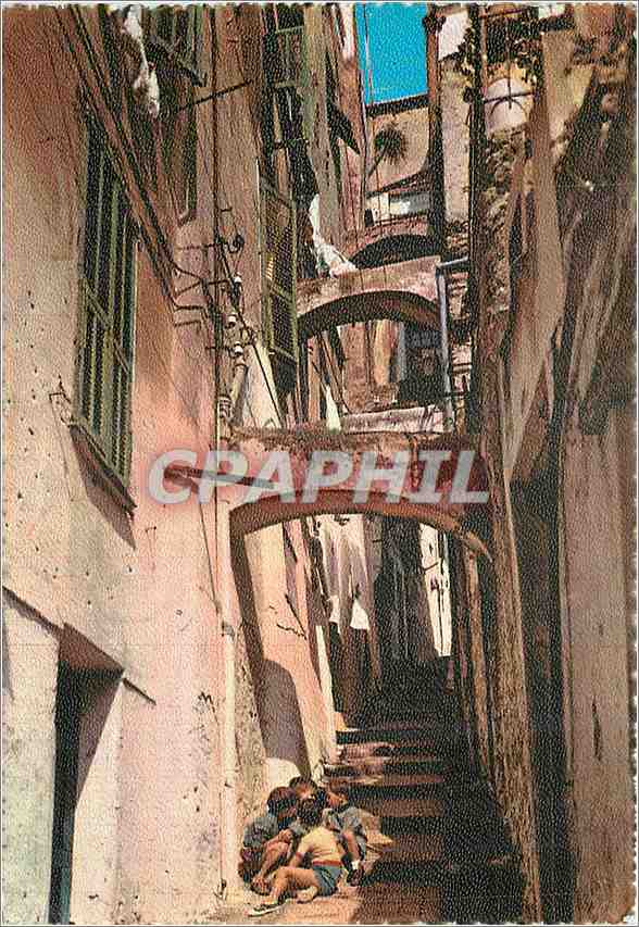 CPM Sanremo Rivage des fleurs Rue Palma e la Pigna 