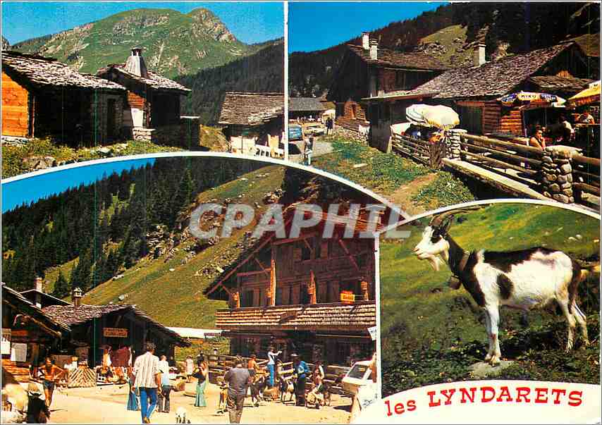 CPM Les Lyndarets sur la route du Col de la Joux Verte Chevre