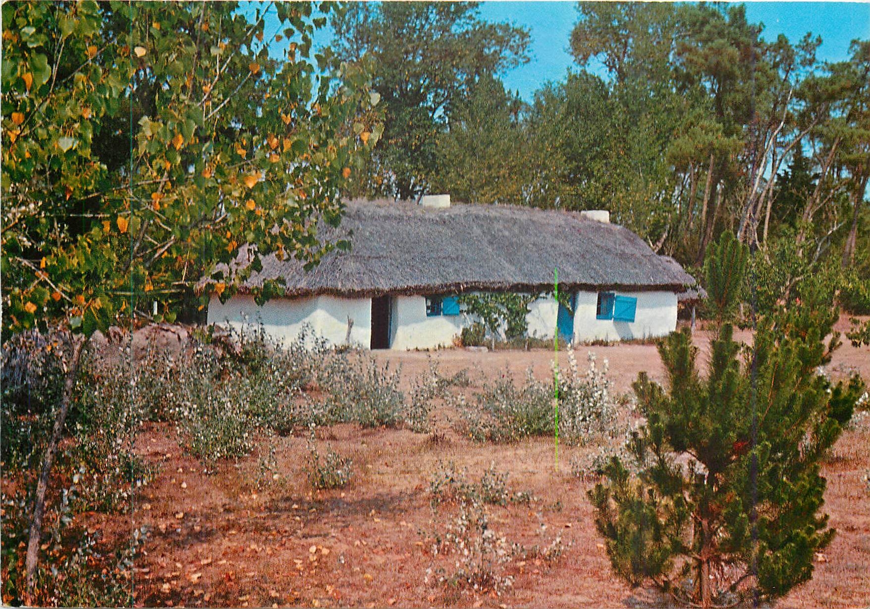 CPM Bourrine en Vendee 
