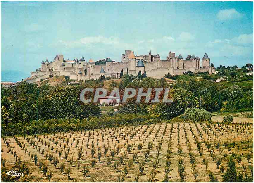CPM Cite de Carcassonne Aude Vue generale des fronts ouest et sud 