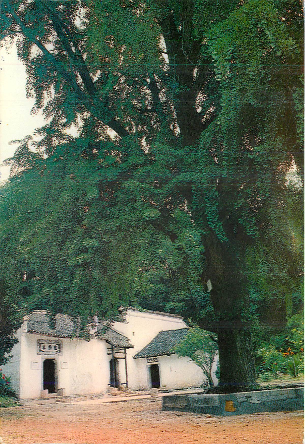 CPM Chine