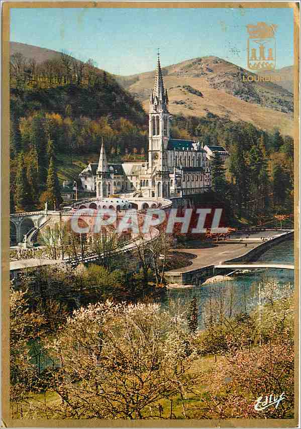 CPM Lourdes La Basilique le Gave et le Nouveau Pont 
