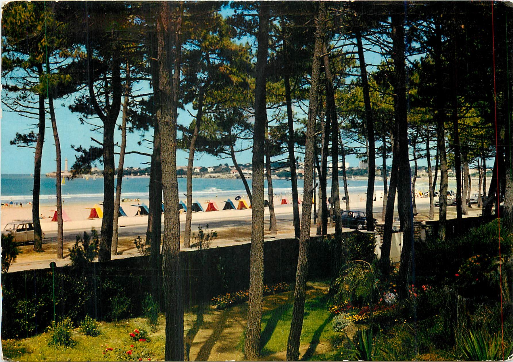 Saint-Georges-de-Didonne — La plage et la pointe du Phare vues à travers les pins — ARUM-ÉDITIONS, Bordeaux