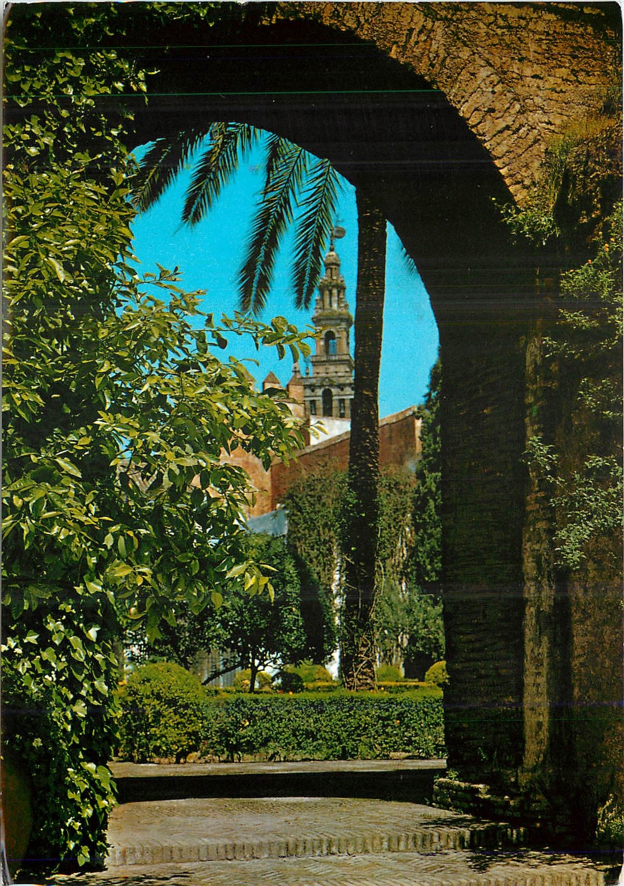 CPM Sevilla Reales Alcazarez Patio del Leon Palais Royaux Cour du Lion 