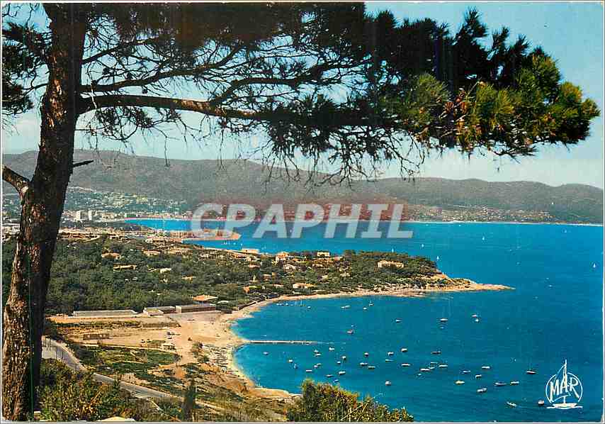 CPM La Cote d'Azur Environs du Lavandou Bormes les Mimosas La Faviere au fond Le Lavandou 