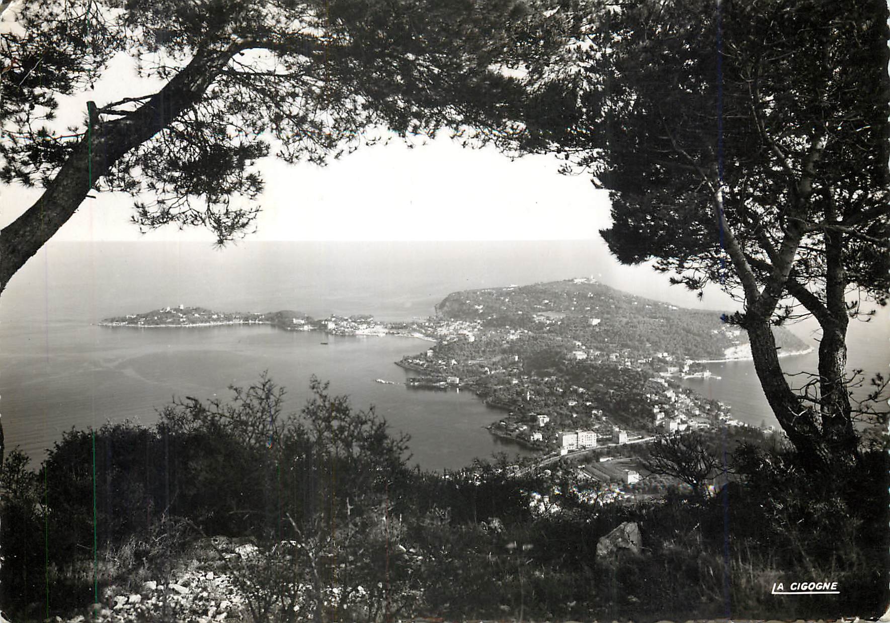 CPM Le Cap Ferrat AM Vue prise de Saint Michel 