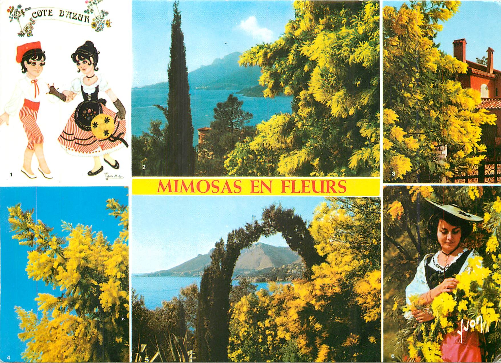 CPM La Cote d'Azur Alpes Maritimes 