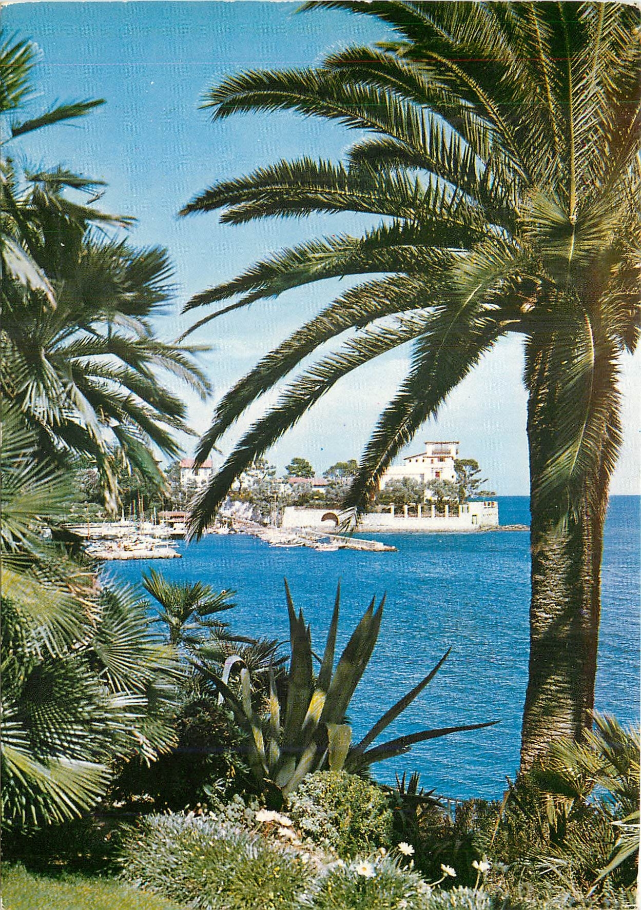 CPM La Cote d'Azur Beaulieu sur Mer La Baie des Fourmis 