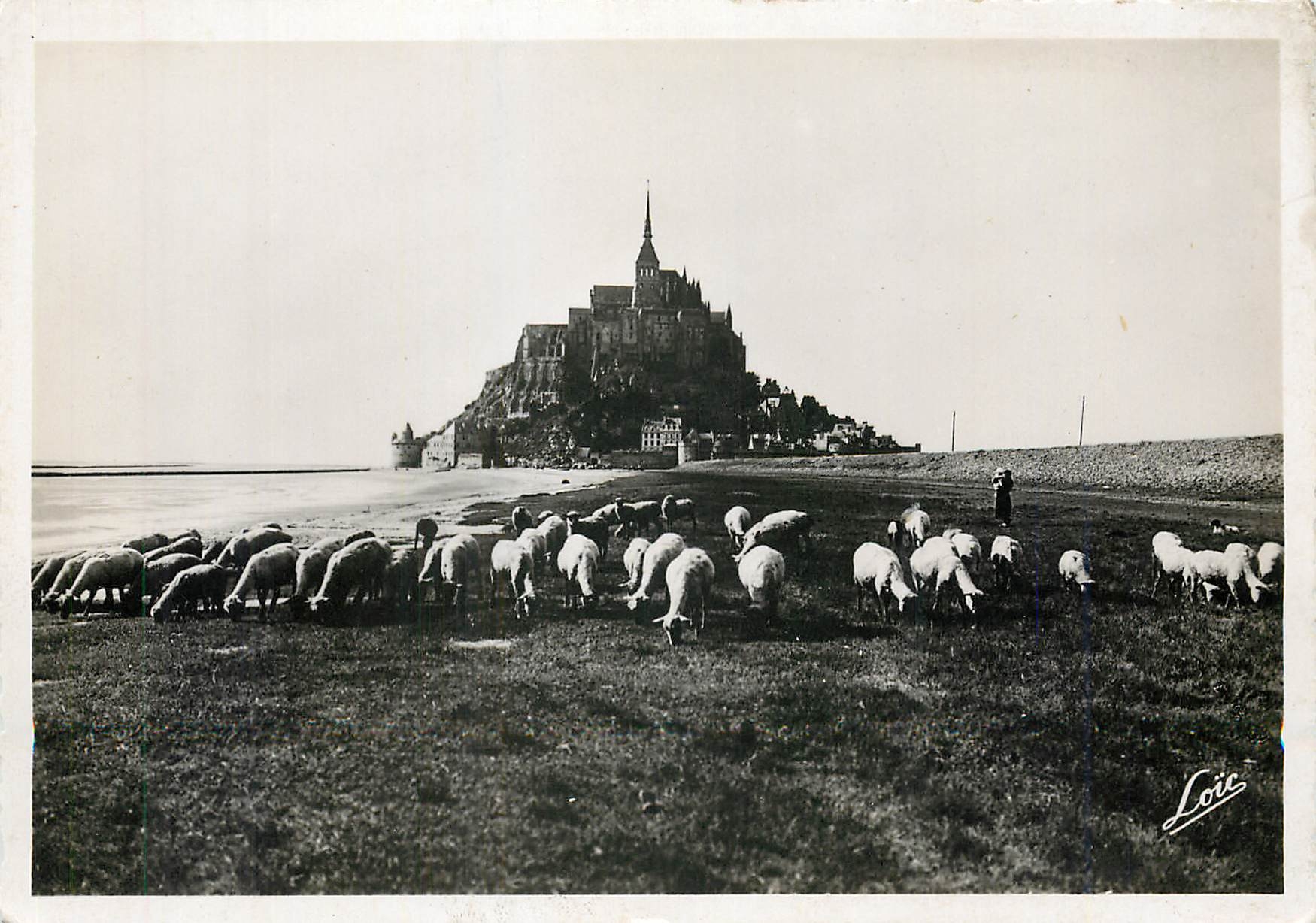 Mont Saint-Michel — Schafherde am Strand — Loïe