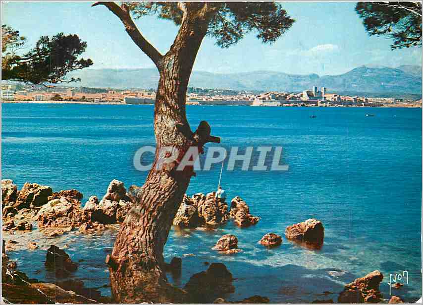 CPM La Cote d'Azur miracle de la nature Antibes Alpes Maritimes Vue Prise du Cap d'Antibes 