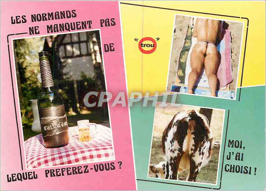 CPM Les Normands ne Manquent pas de Lequel Preferez vous Vache Clavados