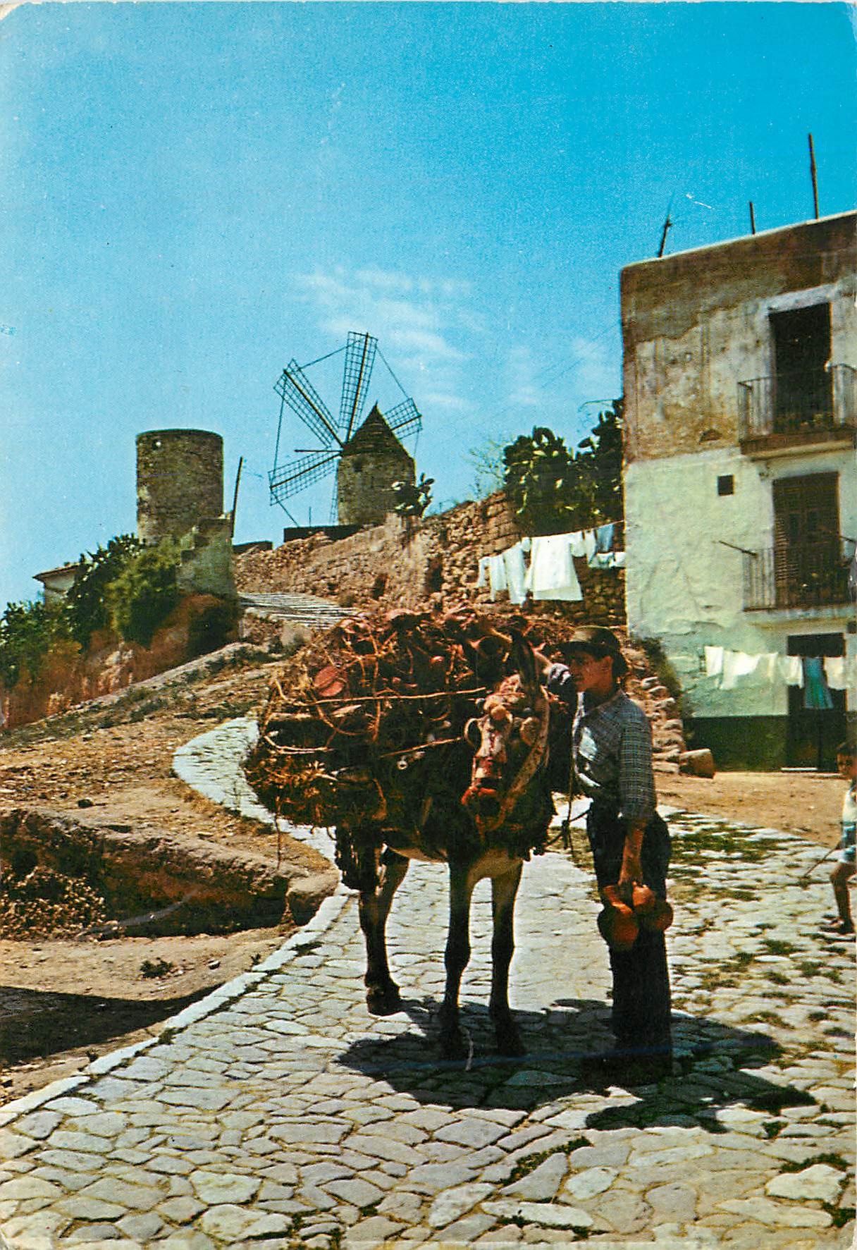 CPM Palma de Mallorca Moulin du Jonquet Ane Mule