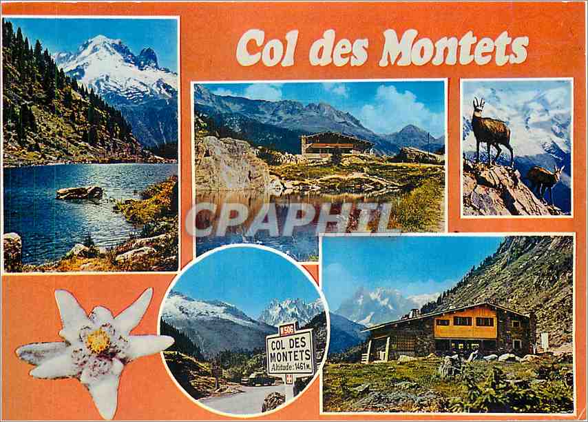 CPM Vallee de Chamonix Mont Blanc Argentiere Hte Savoie 
