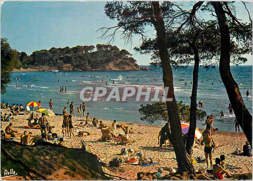CPM La Cote d'Azur Varoise Bormes les Mimosas Var 