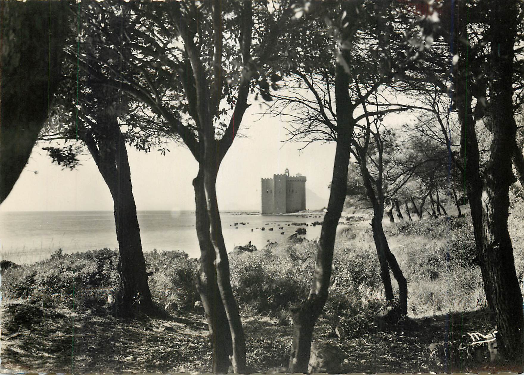 CPM Abbaye de ND de Lerins Ile Saint Honorat Monastere fortifie a travers les pins 