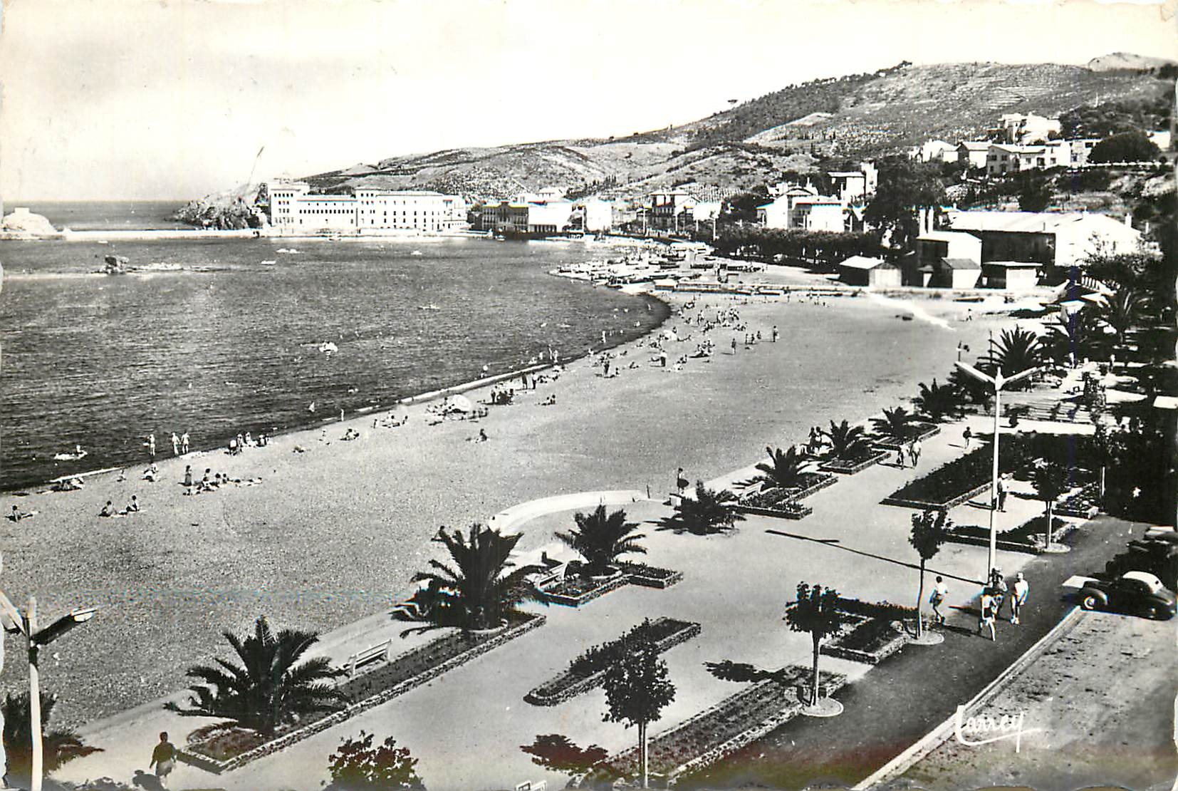 CPM La Cote Vermeille Banyuls sur Mer PO La Promenade dans le fond le laboratoire Arago 