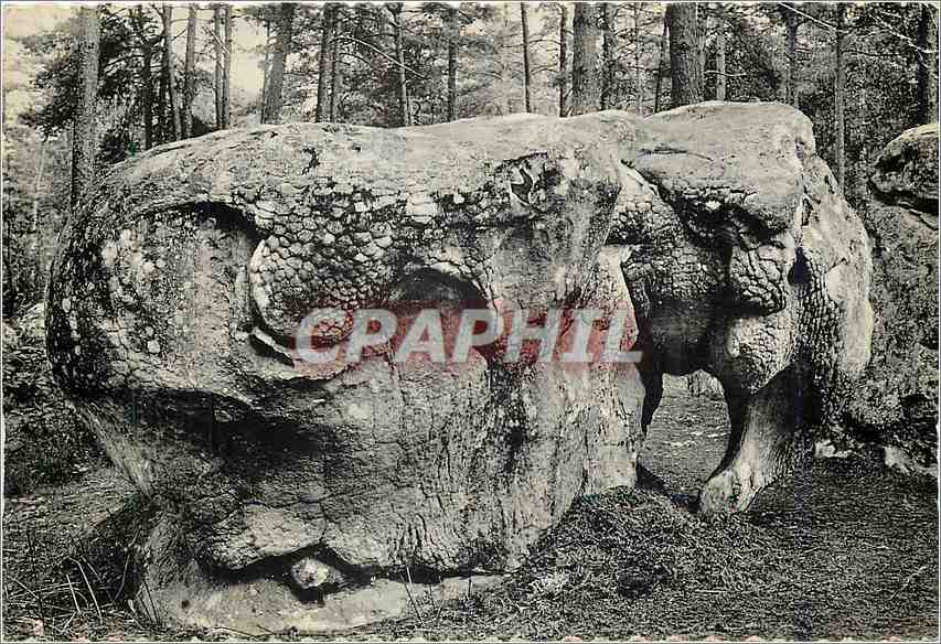 Der Elefant (Gorges d'Apremont) — Forêt de Fontainebleau — Verlag nicht sichtbar